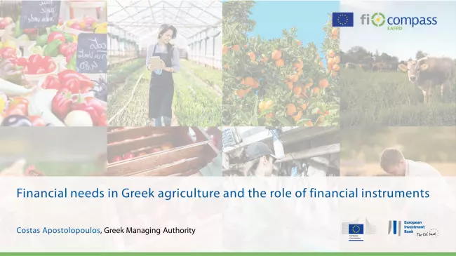 Financial needs in Greek agriculture and the role of financial instruments