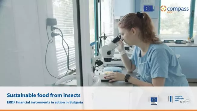 Sustainable food for insects
