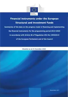 Summaries of the data on the progress made in financial instruments – Situation as at 31 December 2020