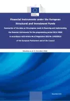 Summaries of the data on the progress made in financial instruments – Situation as at 31 December 2018
