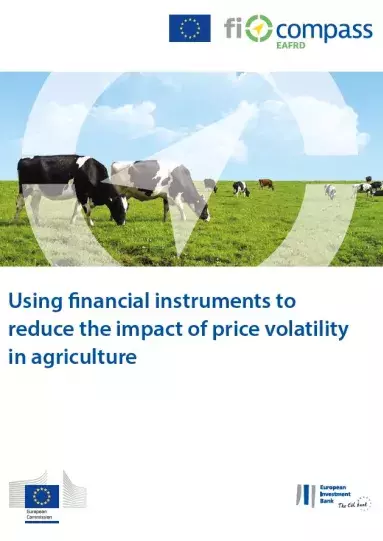 Using financial instruments to reduce the impact of price volatility in agriculture