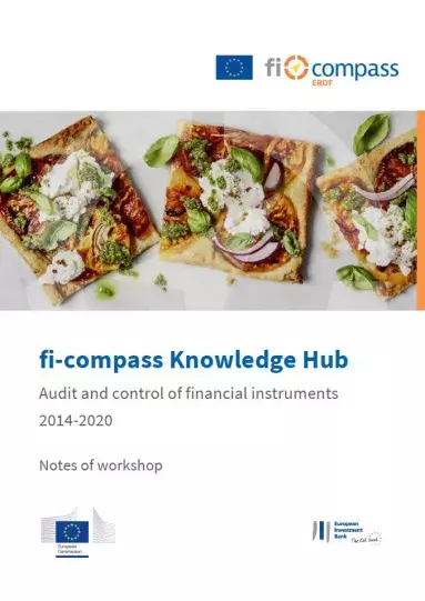 fi-compass Knowledge Hub Audit and control of financial instruments 2014-2020