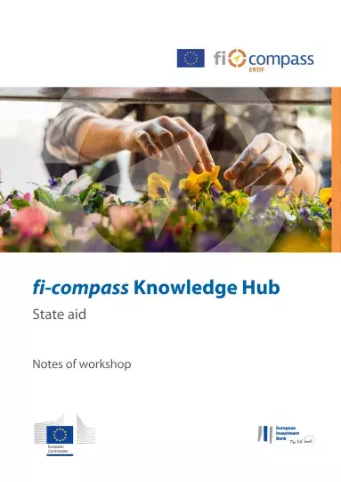 fi-compass Knowledge Hub State aid
