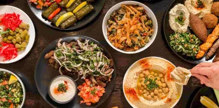 fresh and tasty Syrian and Arabic food at Dilbi, Sally Ghannoum's restaurant