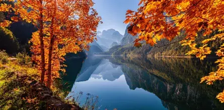 Autumn newsletter 2025