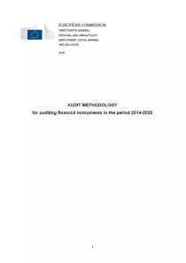 Audit methodology