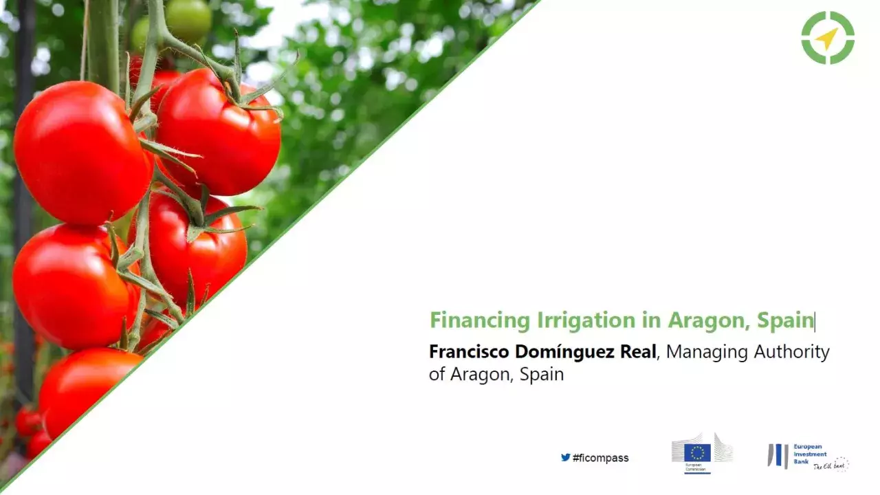 Financing Irrigation in Aragon, Spain