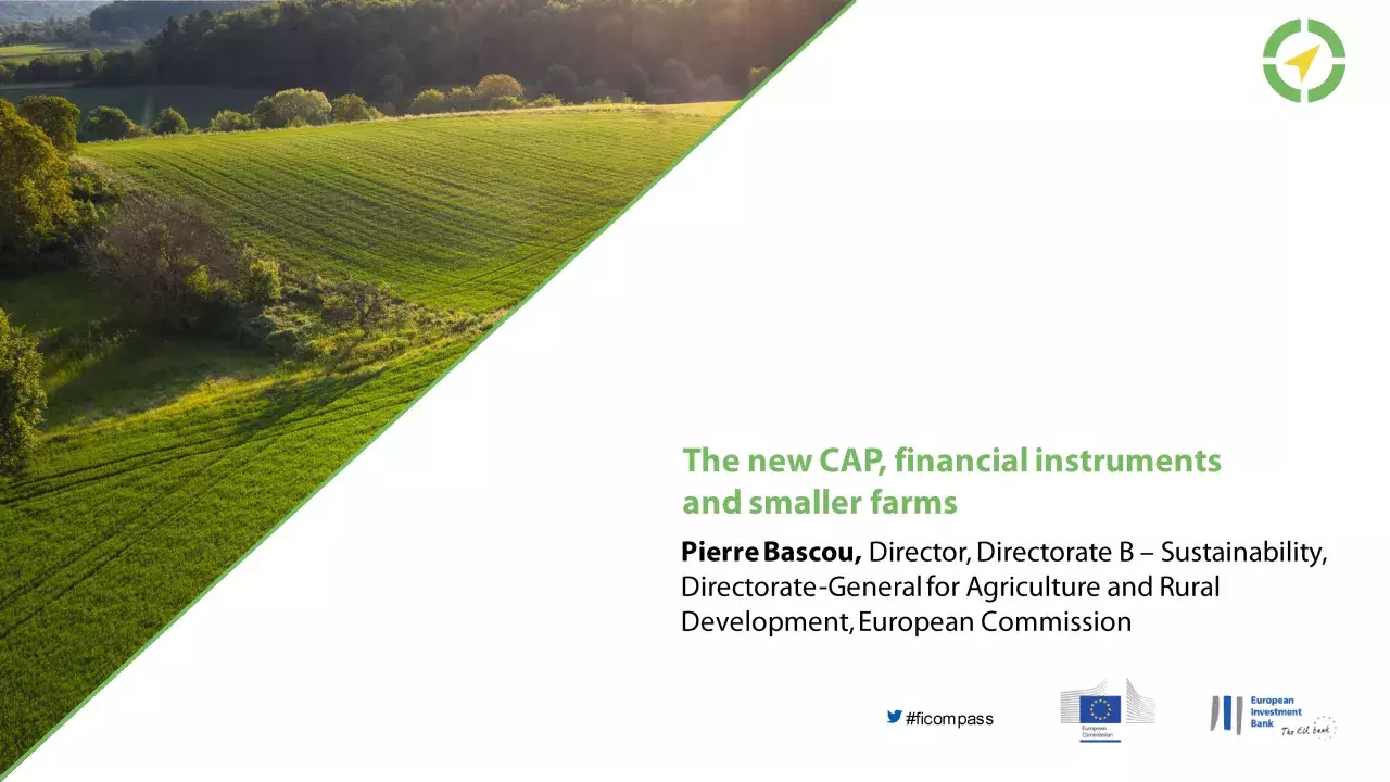 The new CAP, financial instruments and smaller farms