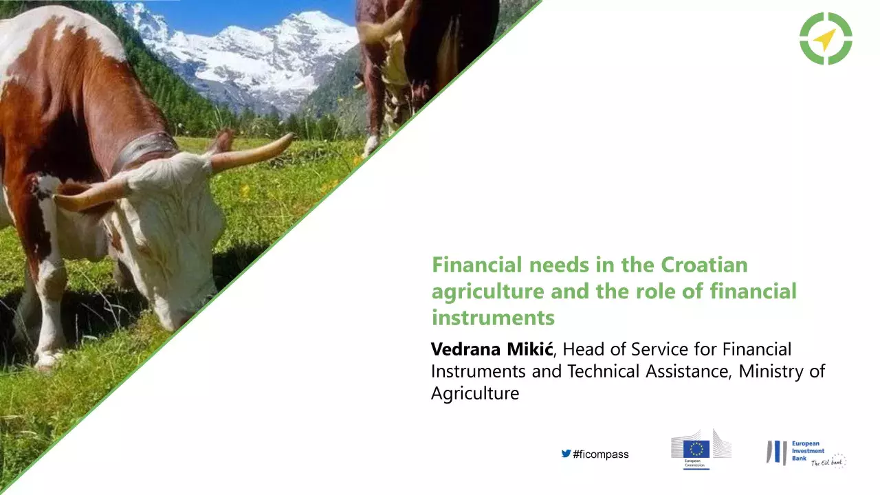 Financial needs in the Croatian agriculture and the role of financial instruments