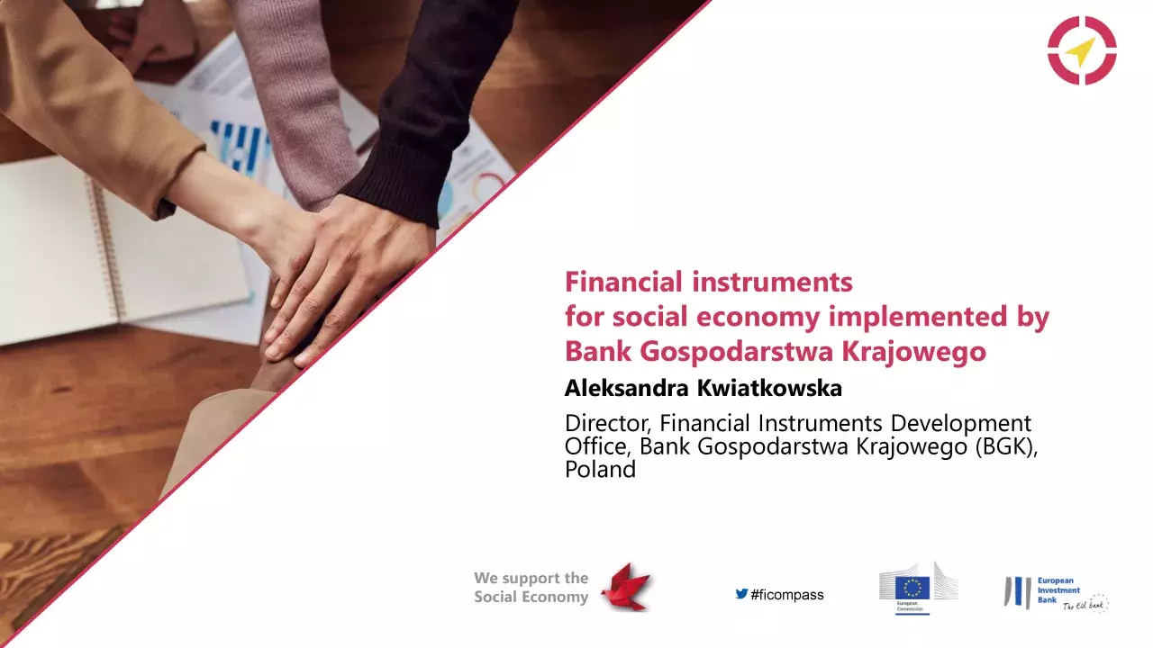 Financial instruments for social economy implemented by Bank Gospodarstwa Krajowego