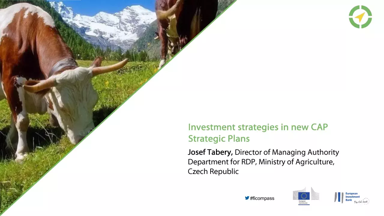 Investment strategies in new CAP Strategic Plans