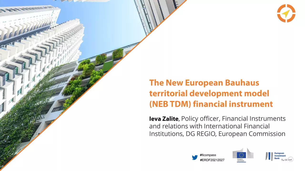 The New European Bauhaus territorial development model (NEB TDM) financial instrument