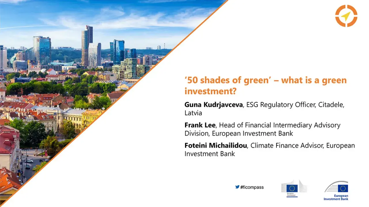 ‘50 shades of green’ – what is a green investment?