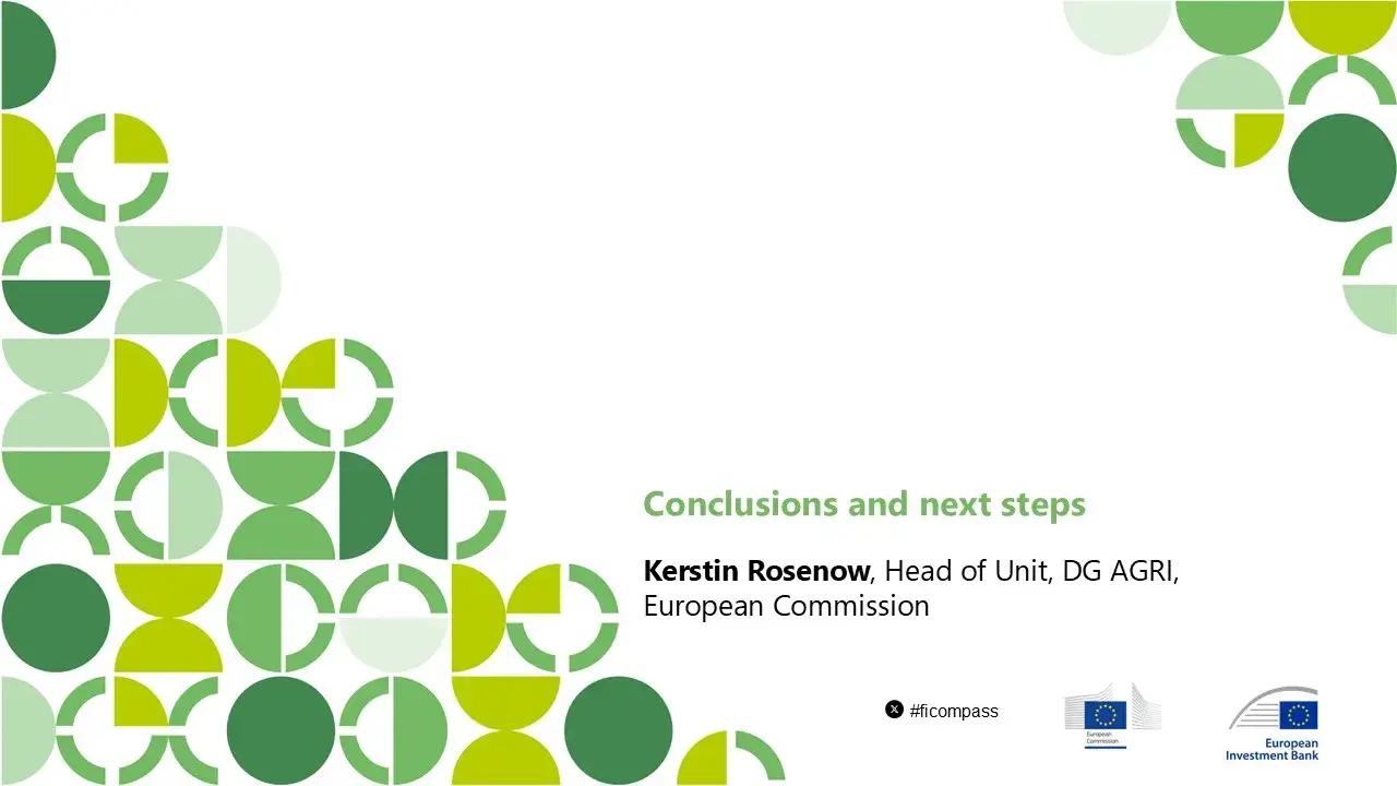 Conclusions and next steps