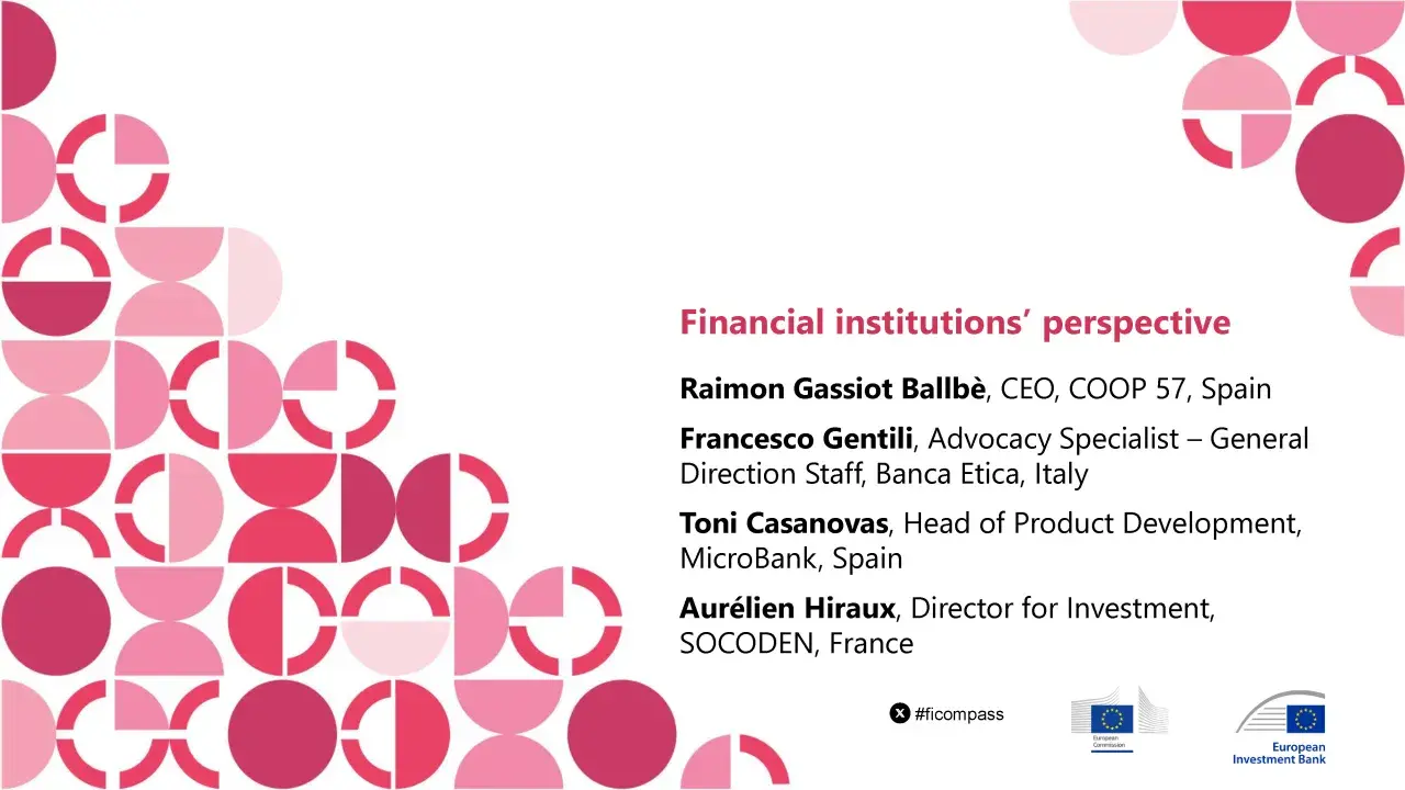 Financial institutions' perspective