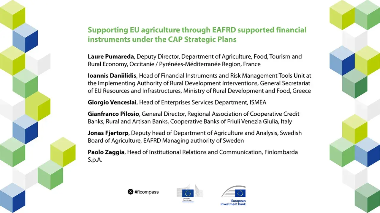 Supporting EU agriculture through EAFRD supported financial instruments under the CAP Strategic Plans