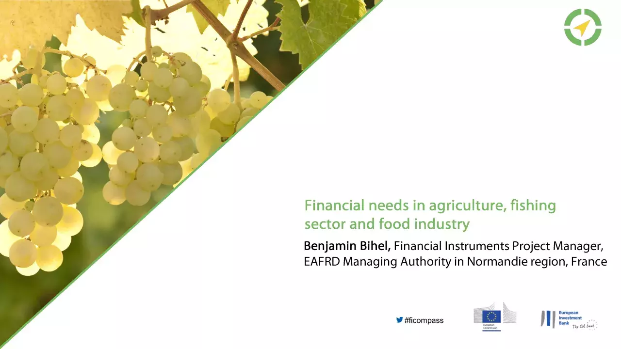 Financial needs in agriculture, fishing sector and food industry