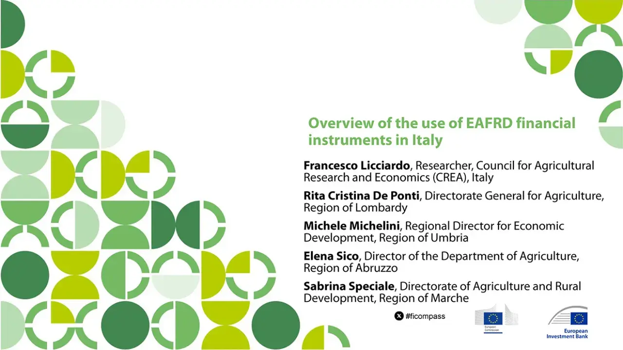 Overview of the use of EAFRD financial instruments in Italy