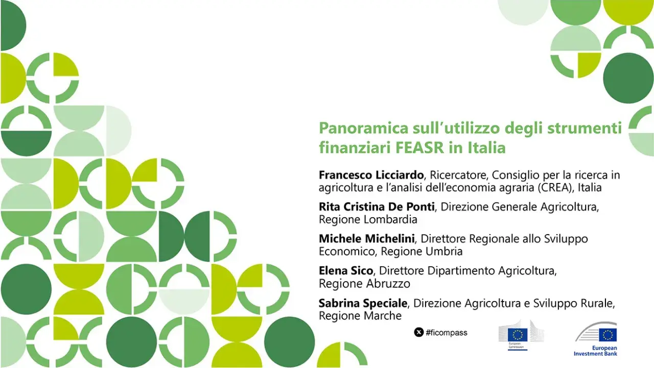 Panoramica sull’utilizzo degli strumenti finanziari FEASR in Italia