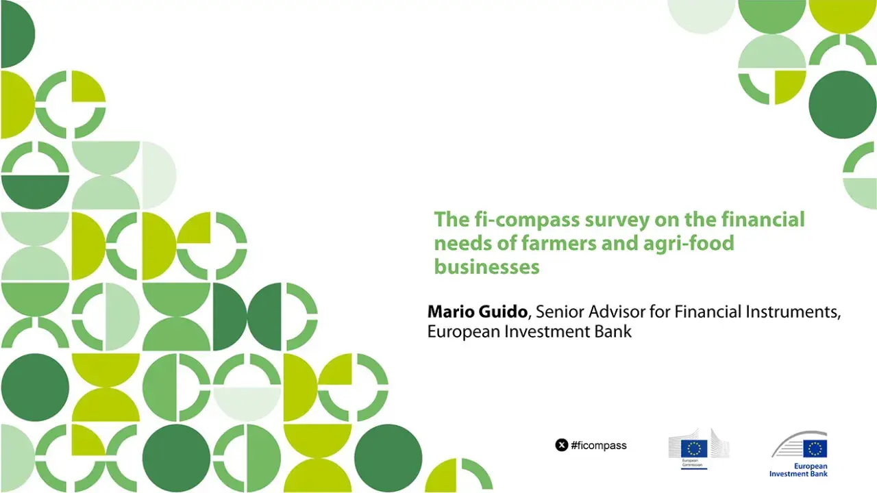 The fi-compass survey on the financial needs of farmers and agri-food businesses