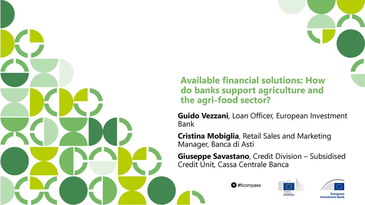 Available financial solutions: How do banks support agriculture and the agri-food sector?