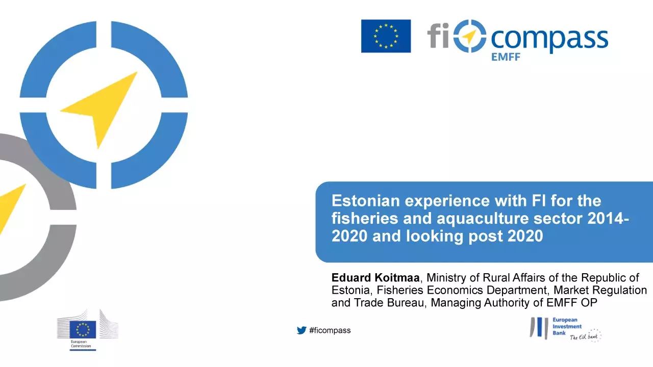 Estonian experience with FI for the fisheries and aquaculture sector 2014- 2020 and looking post 2020