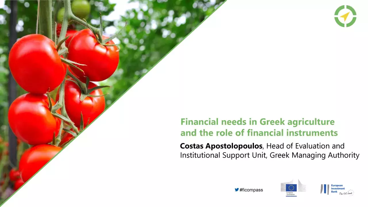 Financial needs in Greek agriculture and the role of financial instruments
