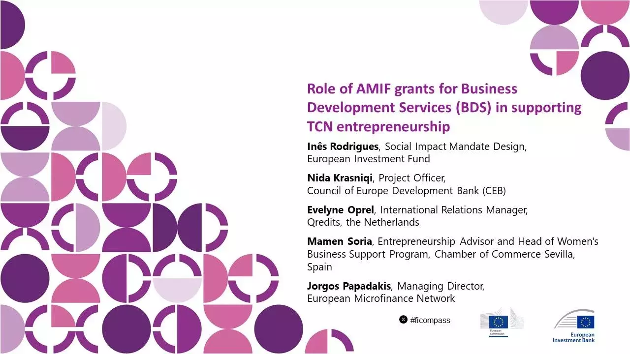 Role of AMIF grants for Business Development Services (BDS) in supporting TCN entrepreneurship