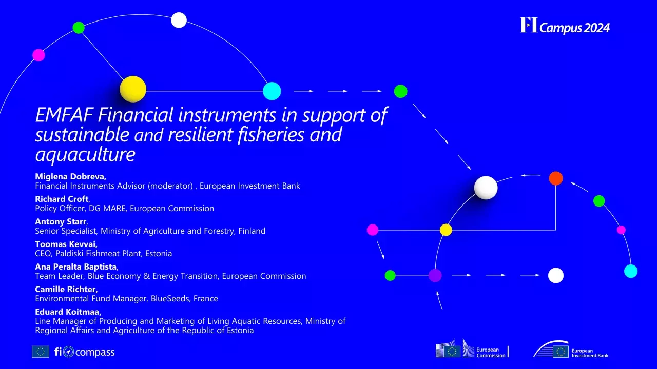 EMFAF Financial instruments in support of sustainable and resilient fisheries and aquaculture