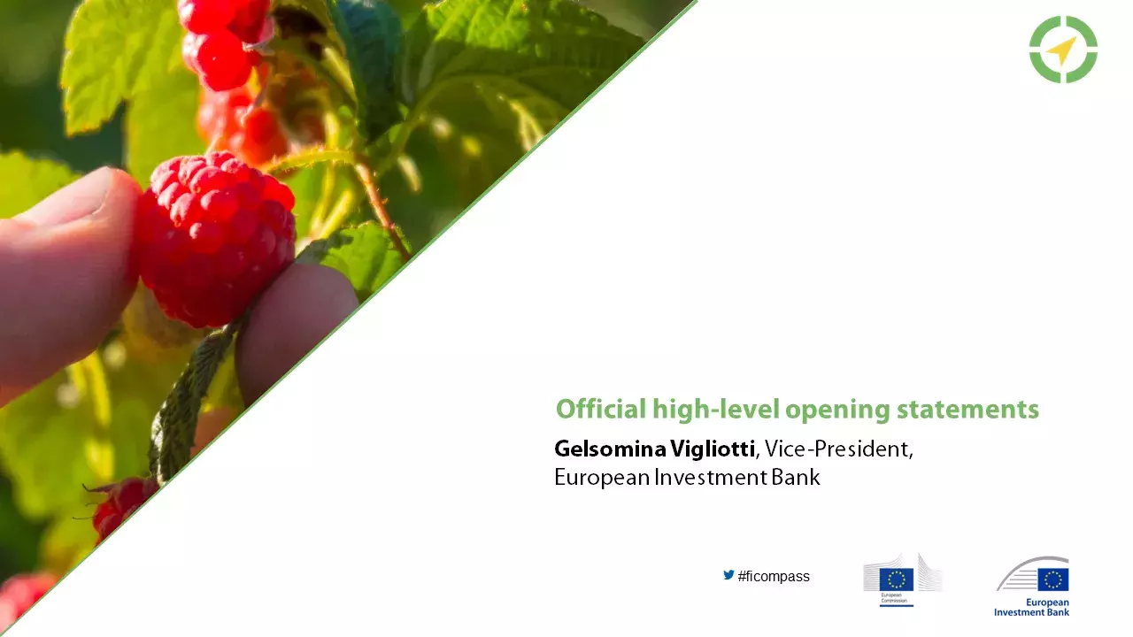 Official high opening statement – Gelsomina Vigliotti