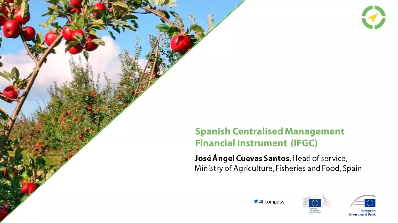 Spanish Centralised Management Financial Instrument (IFGC)
