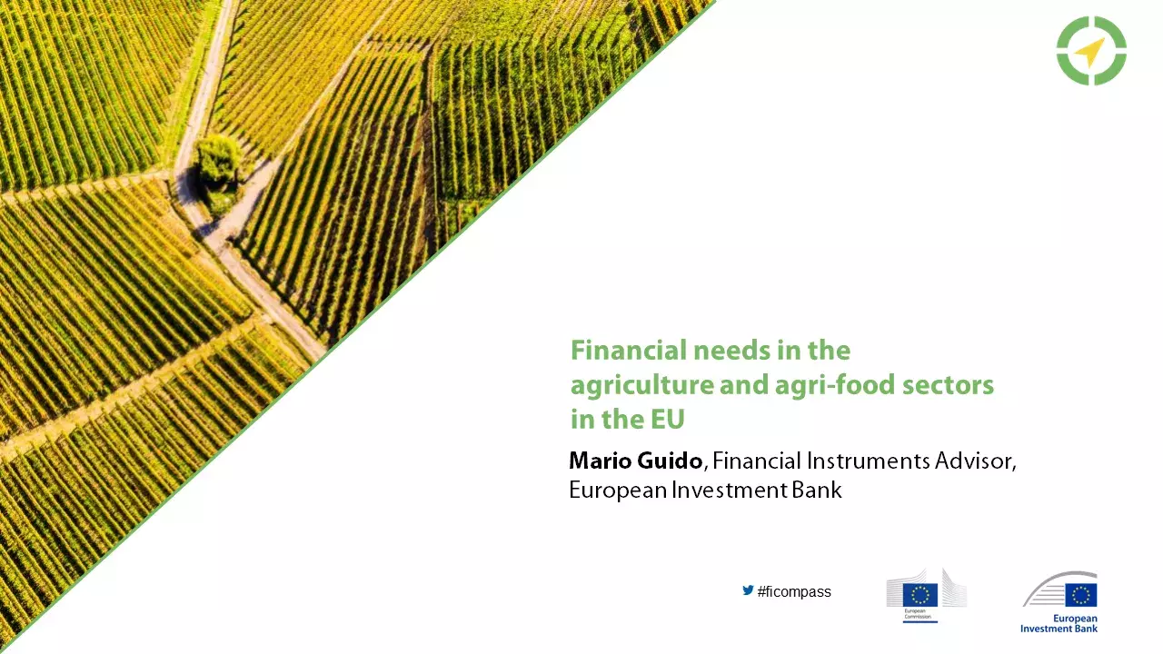 Financial needs in the agriculture and agri-food sectors in the EU