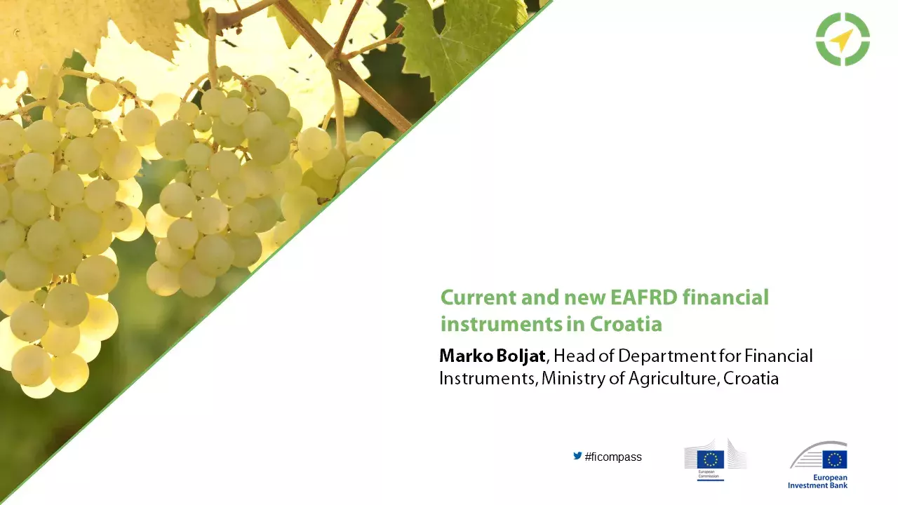 Current and new EAFRD financial instruments in Croatia
