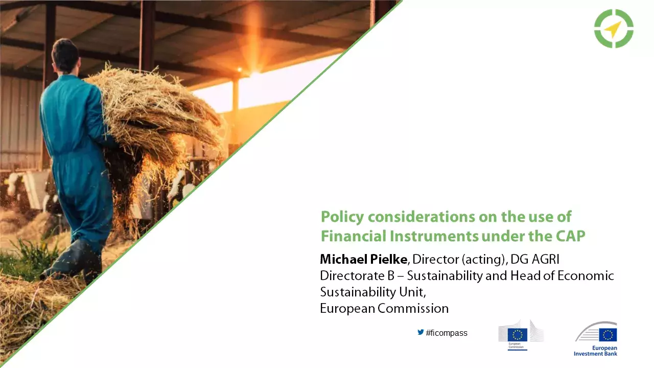 Policy considerations on the use of Financial Instruments under the CAP