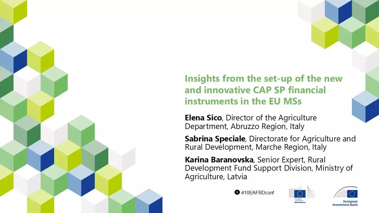 Insights from the set-up of the new and innovative CAP SP financial instruments in the EU MSs (11090)
