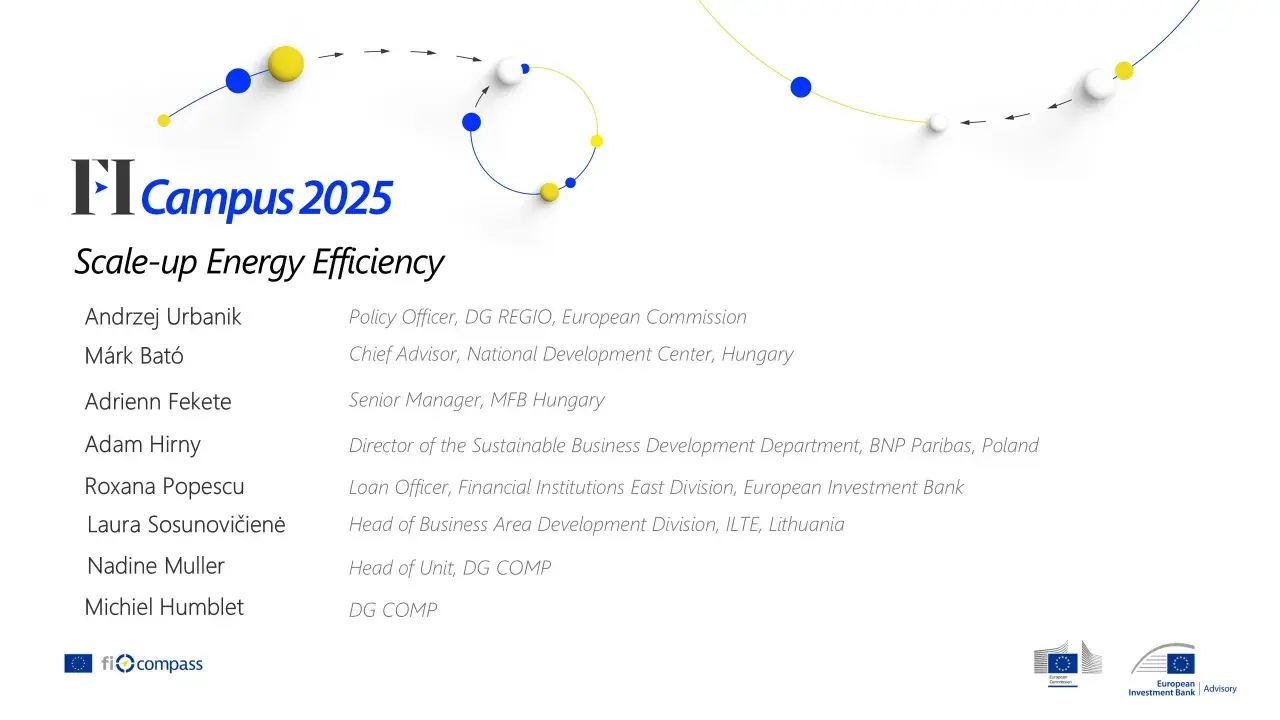 Scale-up Energy Efficiency
