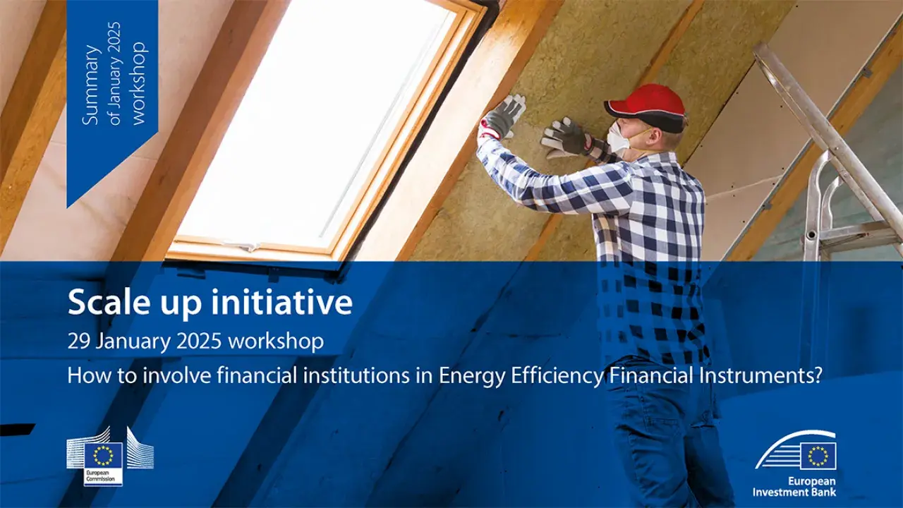 Summary of January 2025 workshop