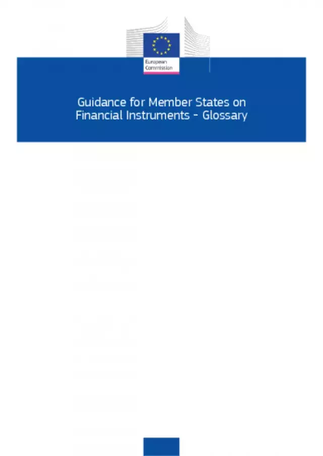 Guidance for Member States on Financial Instruments - Glossary