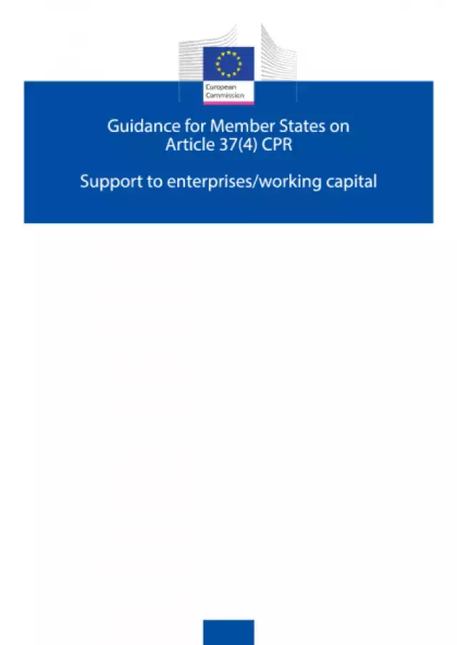Guidance for Member States on Article 37(4) CPR, Support to enterprises/working capital