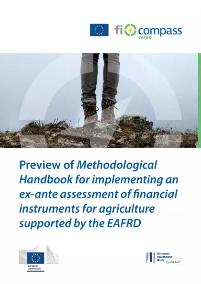 Preview of Methodological Handbook for implementing an ex-ante assessment of financial instruments for agriculture supported by the EAFRD
