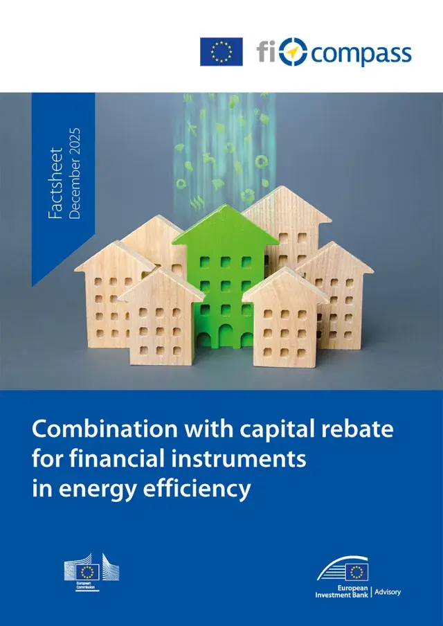 Combination with capital rebate for financial instruments in energy efficiency