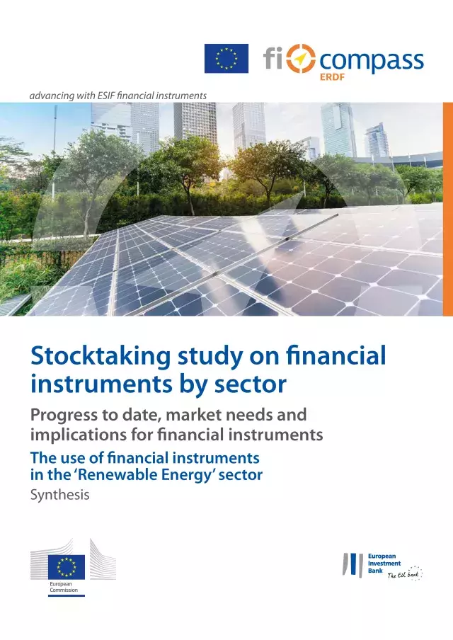 The use of financial instruments in the ‘Renewable Energy’ sector The use of financial instruments in the ‘Renewable Energy’ sector
