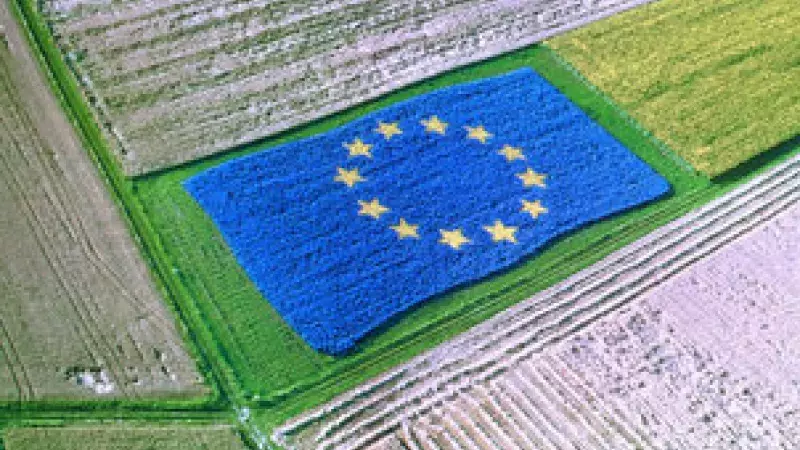 Flexible financial products for the agricultural sector in the EU