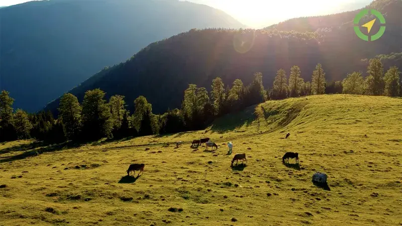 Insurance and access to finance for farm resilience and adaptation in the EU Insurance and access to finance for farm resilience and adaptation in the EU