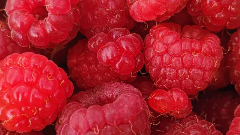 The sweet taste of success