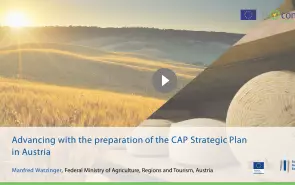 Advancing with the preparation of the CAP Strategic Plan in Austria