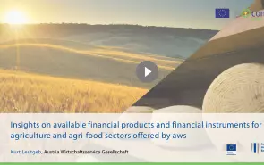 	 Insights on available financial products and financial instruments for agriculture and agri-food sectors offered by aws