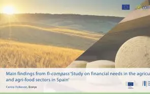 Main findings from fi-compass ‘Study on financial needs in the agriculture and agrifood sectors in Spain’