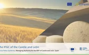 The IFGC of the Castile and León