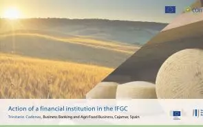 Action of a financial institution in the IFGC